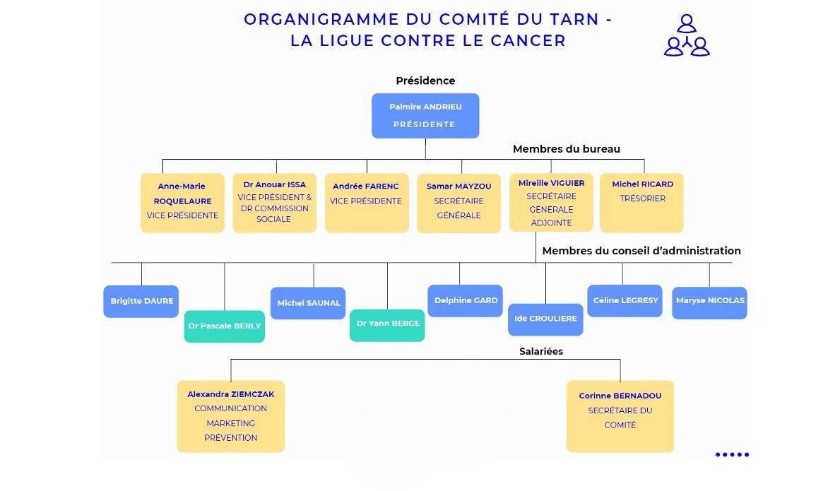 Organigramme du Comité 81 (2025-2026)