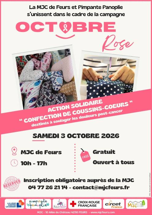 mjc feurs coussins coeurs OR 031026